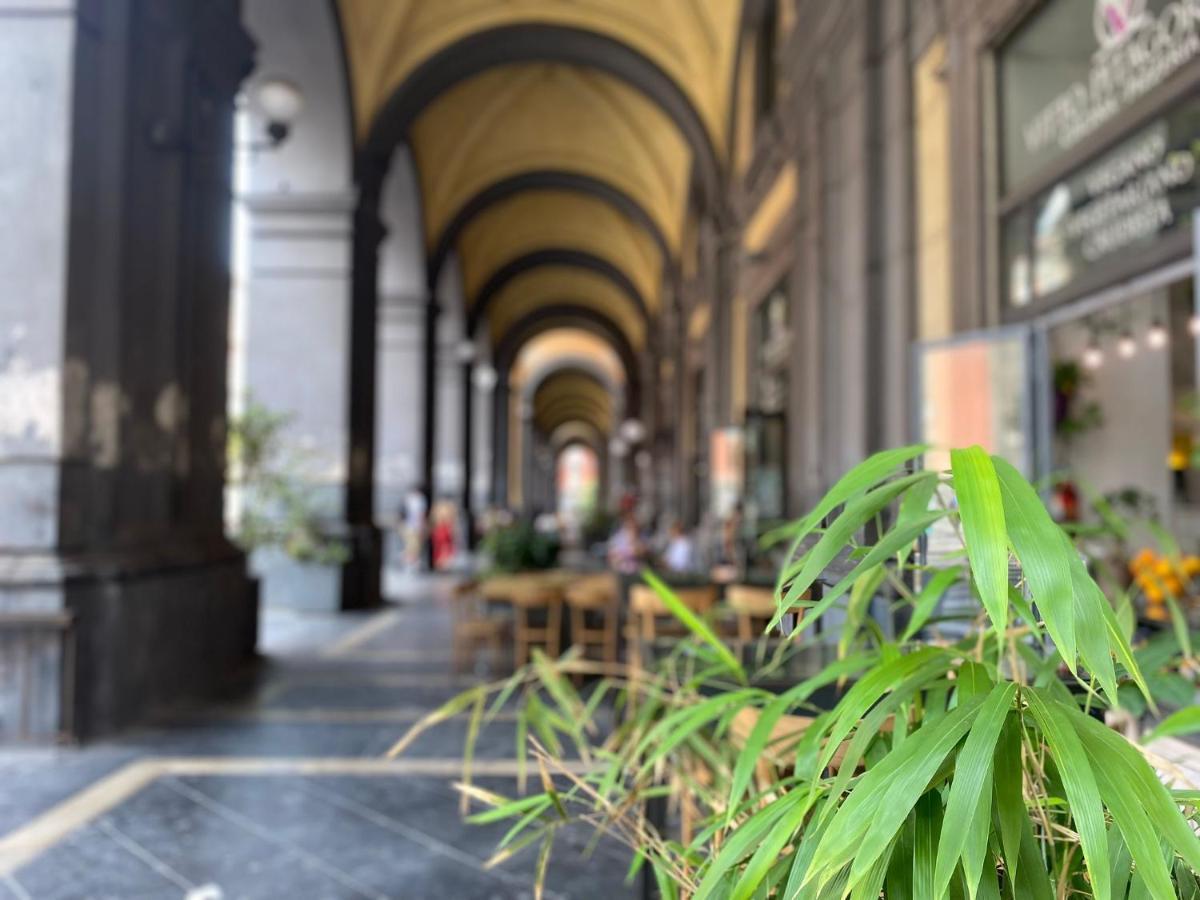 La Casa Sul Appartamento